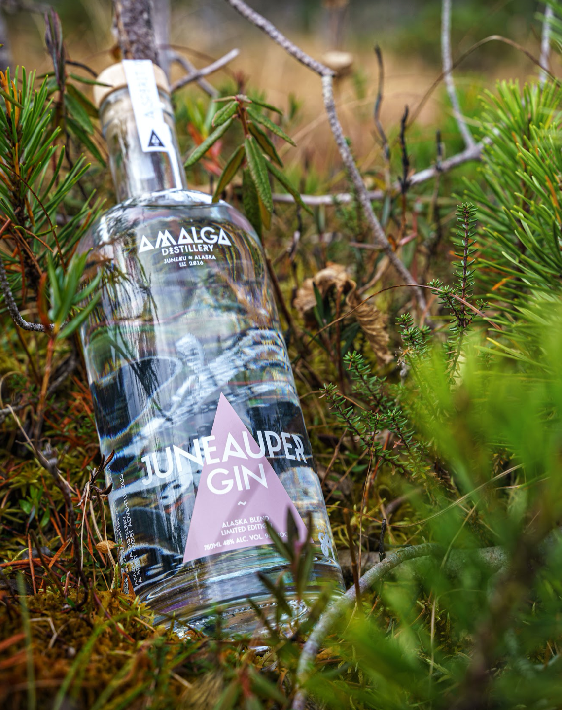 GIN