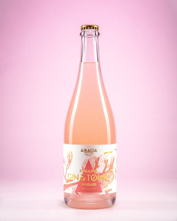 Rhubarb Gin & Tonic